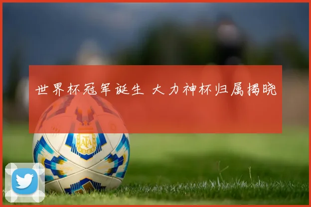 世界杯冠军诞生 大力神杯归属揭晓
