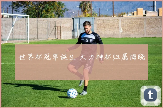 世界杯冠军诞生 大力神杯归属揭晓